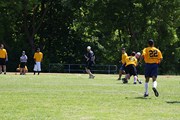 OTFL Gallery Image